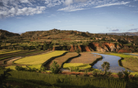 Green rice terraces