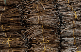 Vanilla beans tied with raffia