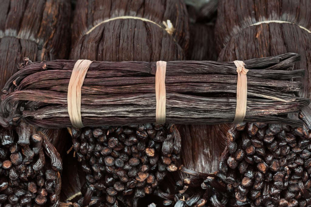 High-quality Madagascar vanilla beans tied in bundles — premium Bourbon vanilla hand-sorted in the SAVA region.